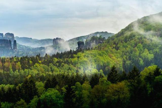Orlické hory – přírodní rezervace Česka